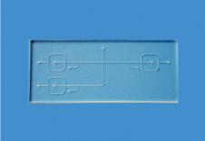 PDMS.jpg