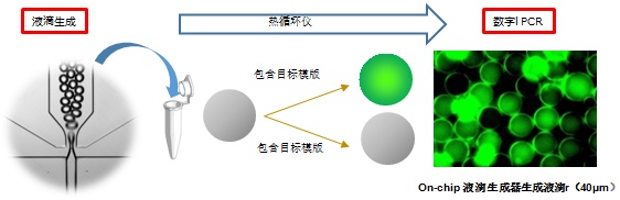 2016729144151374.jpg