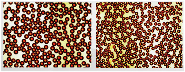 Single emulsion microscope photograph