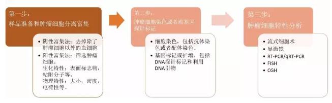 圖4.CTC的檢測流程圖