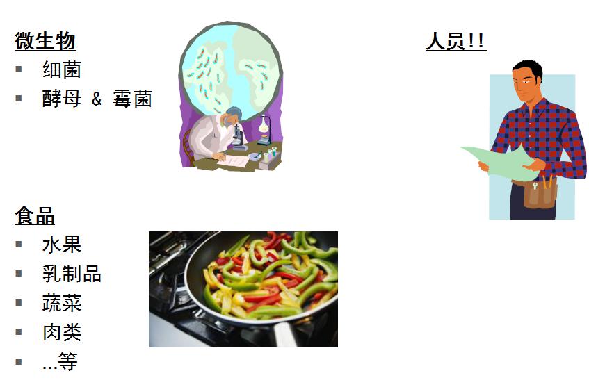 4.ATP的主要來(lái)源