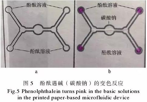 為了驗證紙包裝與紙基微流控芯片的整合技術(shù)，在紙盒的4個體板上分別制作了4個微流控芯片，該紙基芯片在pH值檢測中的應(yīng)用示例見圖5。