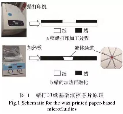 使用蠟打印加工紙基微流控芯片的方法，其基本原理見圖1。