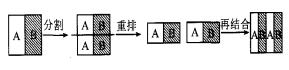圖 2 　靜態(tài)微混合器的混合原則