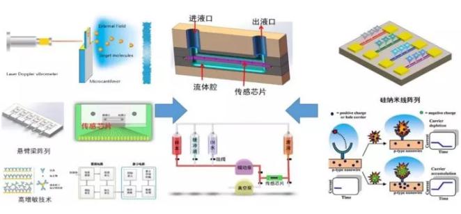 微納機械結(jié)構(gòu)生化傳感器