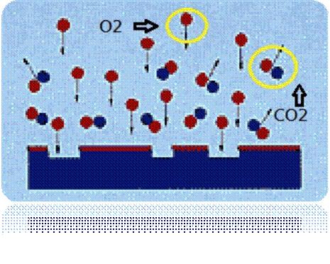 圖二為已被電離化的氣體分子團(tuán)（Plasma）對(duì)被處理材料的分子團(tuán)進(jìn)行撞擊及反應(yīng)。