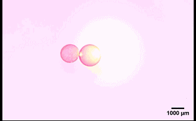 圖4. “齒輪”型液滴機械系統(tǒng)。