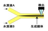 微流控聚合反應(yīng)芯片
