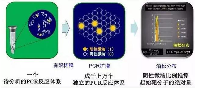dPCR基本原理（微滴式）