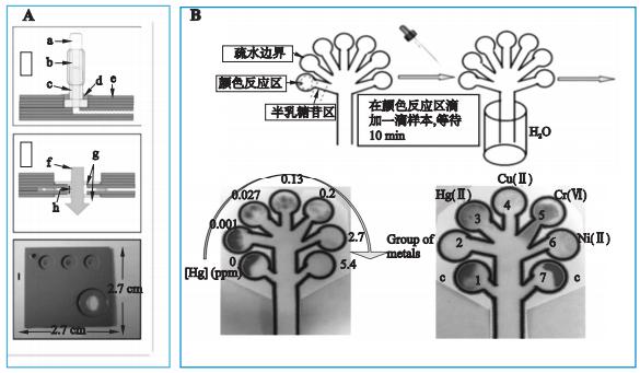 圖1重金屬檢測微流控芯片系統(tǒng)