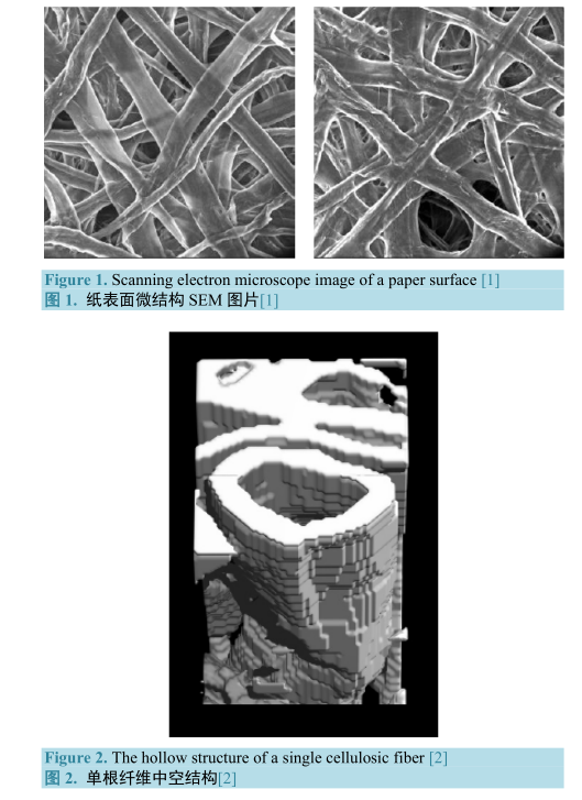 紙表面微結(jié)構(gòu)
