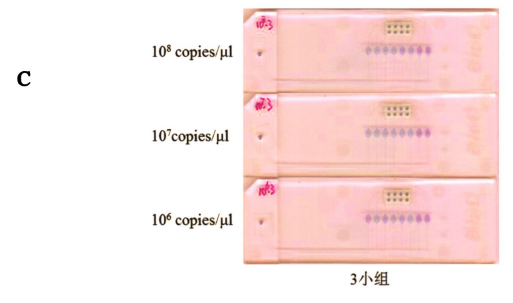 圖6皮膚低危型別組3個(gè)小組I-IPV型別靈t性檢舅