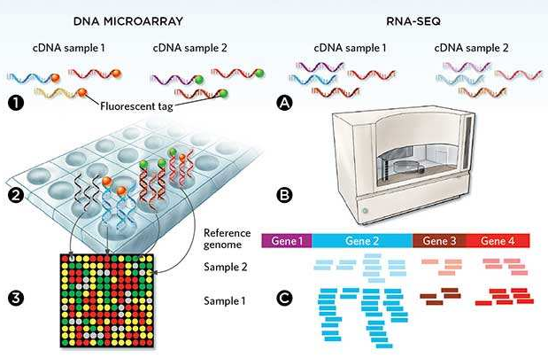 微流控自動(dòng)化技術(shù)革新RNA-Seq文庫(kù)構(gòu)建流程 --- FLUIDIGM發(fā)布更高效、更節(jié)約成本的Advanta RNA-Seq NGS 文庫(kù)構(gòu)建解決方案