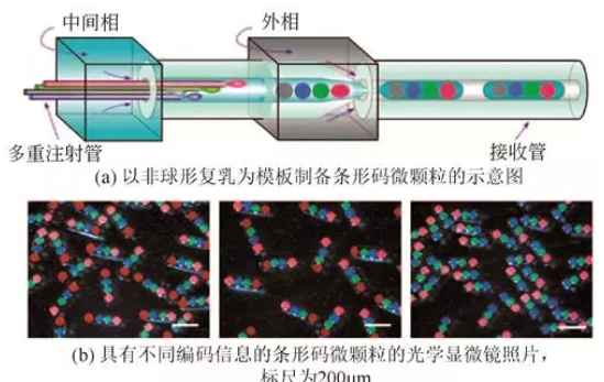 非球形復(fù)乳模板法制備非球形微顆粒