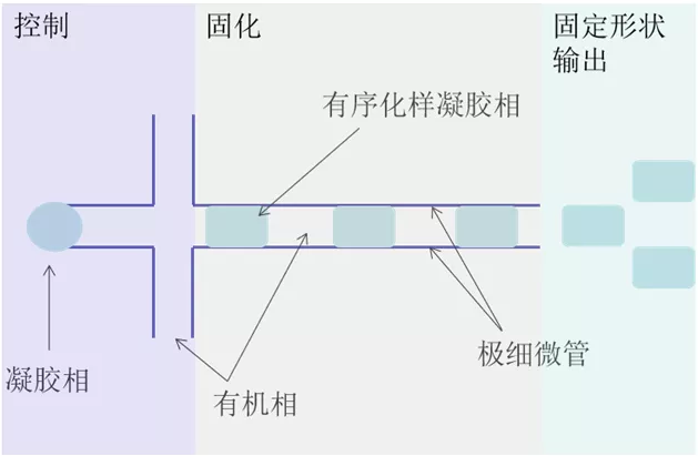 微流控技術(shù)合成凝膠原理簡圖