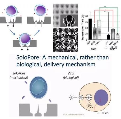 Basilard BioTech的SoloPore技術(shù)與病毒傳遞相比