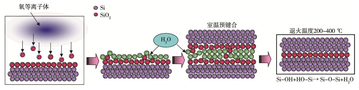 圖4 等離子體活化鍵合原理