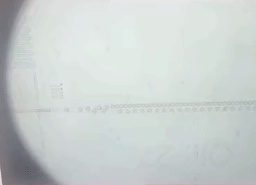 1629688407881638.gif