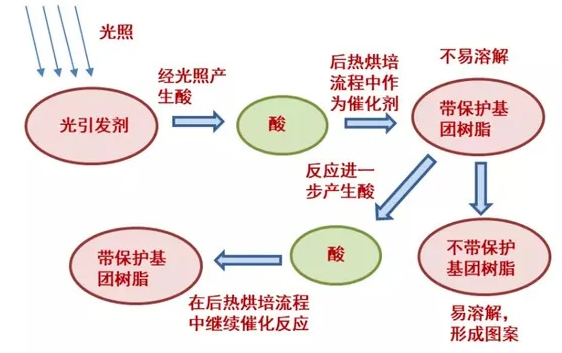 圖片12.png
